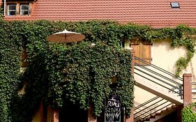 Apartament Galeria